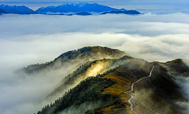 bevictorΰ�¹���-Τ�¹ٷ���վ