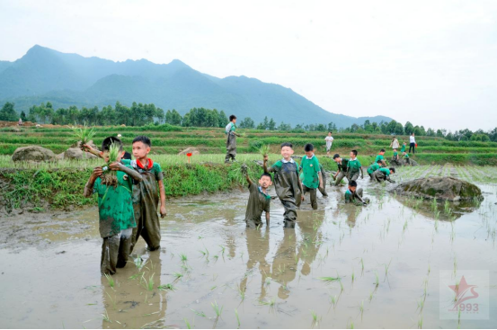 369b196e-23b4-403e-8932-f2f2bd73b5a5