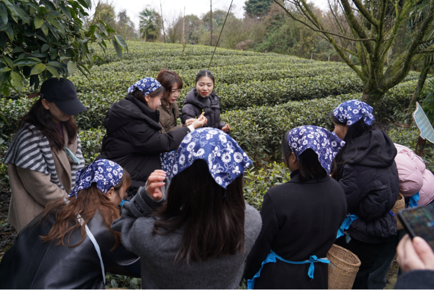 ʡbevictorΰ�¼���������ҵ��֯��չ�����ˡ������Ͷ���Ů������