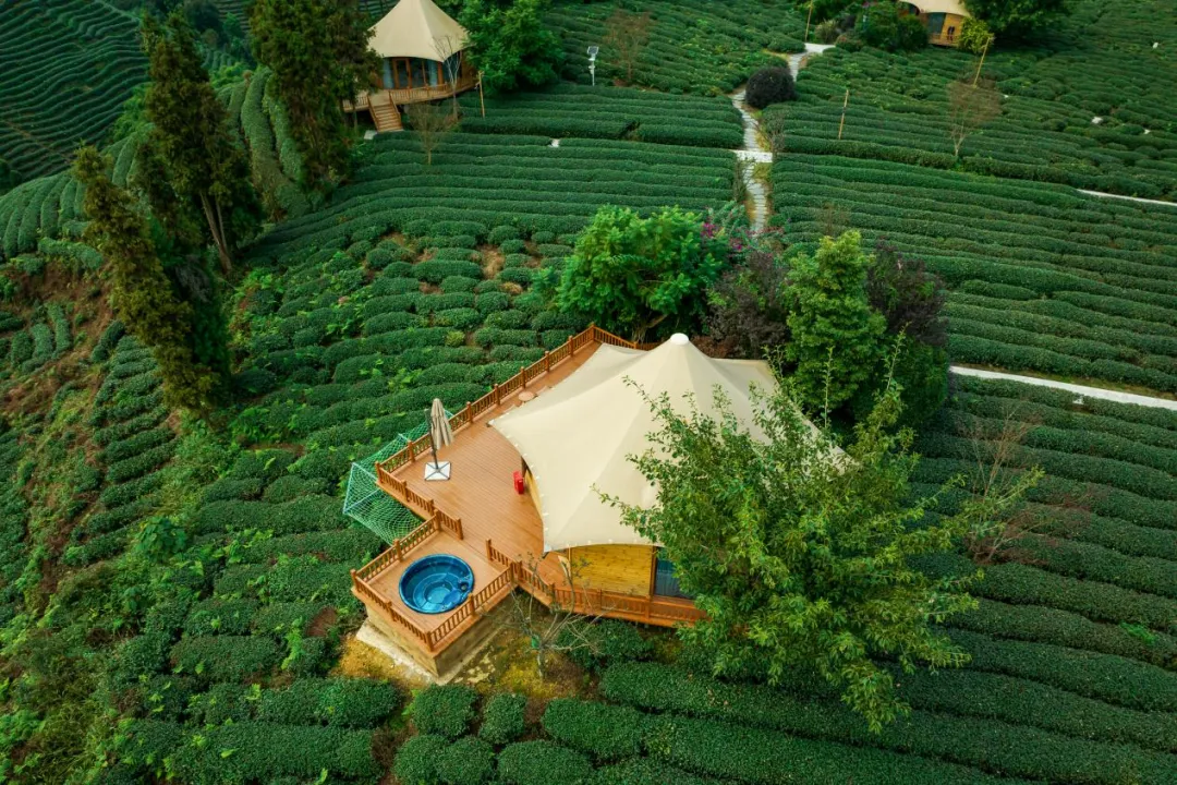 a9596a74-16b5-468a-91d1-cd682034fead