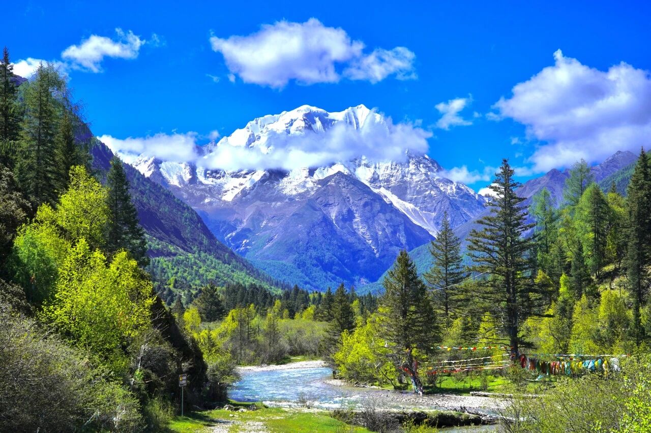 a54b453c-2d84-4335-89b3-70ebaa5c2577