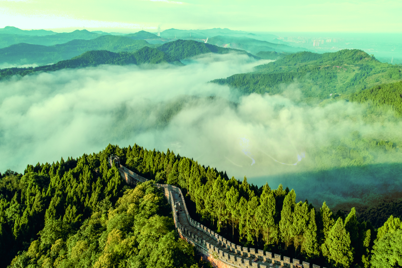 ������Ч�����ж���bevictorΰ���ʹܹ�˾���������ںϷ�չ���辶