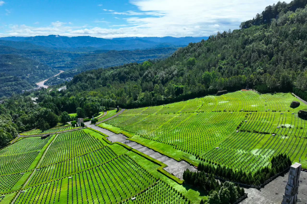 112ecdbe-7e28-4717-889d-a58c41b11835 112ecdbe-7e28-4717-889d-a58c41b11835