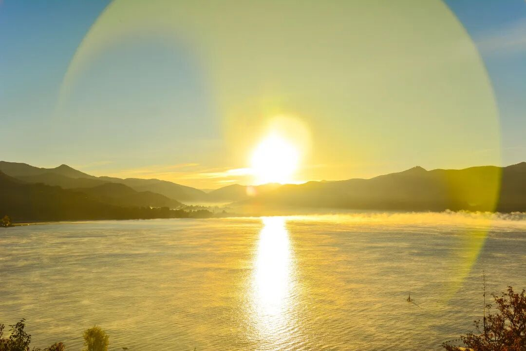 88ec5b38-efa3-45ee-b94a-a27f8708d568 88ec5b38-efa3-45ee-b94a-a27f8708d568