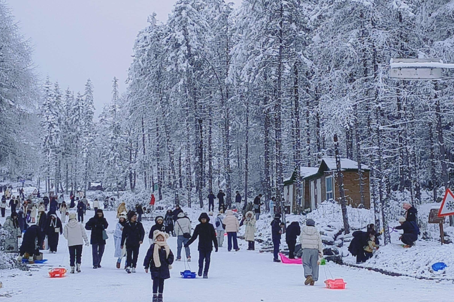 8c7e9790-58d4-4e09-ad78-c954de56783b 8c7e9790-58d4-4e09-ad78-c954de56783b