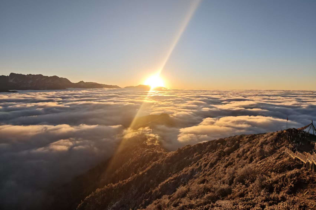 8f20b0d3-869c-4a49-a111-c2c7156f7c93 8f20b0d3-869c-4a49-a111-c2c7156f7c93