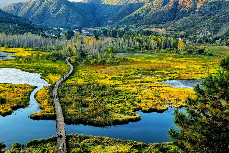 fbd0f4df-6d8b-4f66-bc75-fc30296513a3 fbd0f4df-6d8b-4f66-bc75-fc30296513a3